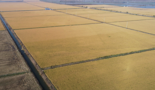 上海大型農(nóng)業(yè)集團(tuán)應(yīng)用標(biāo)領(lǐng)wms系統(tǒng)，完善農(nóng)資倉(cāng)儲(chǔ)體系_wms倉(cāng)儲(chǔ)管理系統(tǒng)