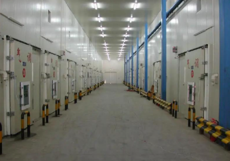 成功案例分享：冷庫倉儲管理系統(tǒng)在零售中的應用